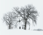 雪