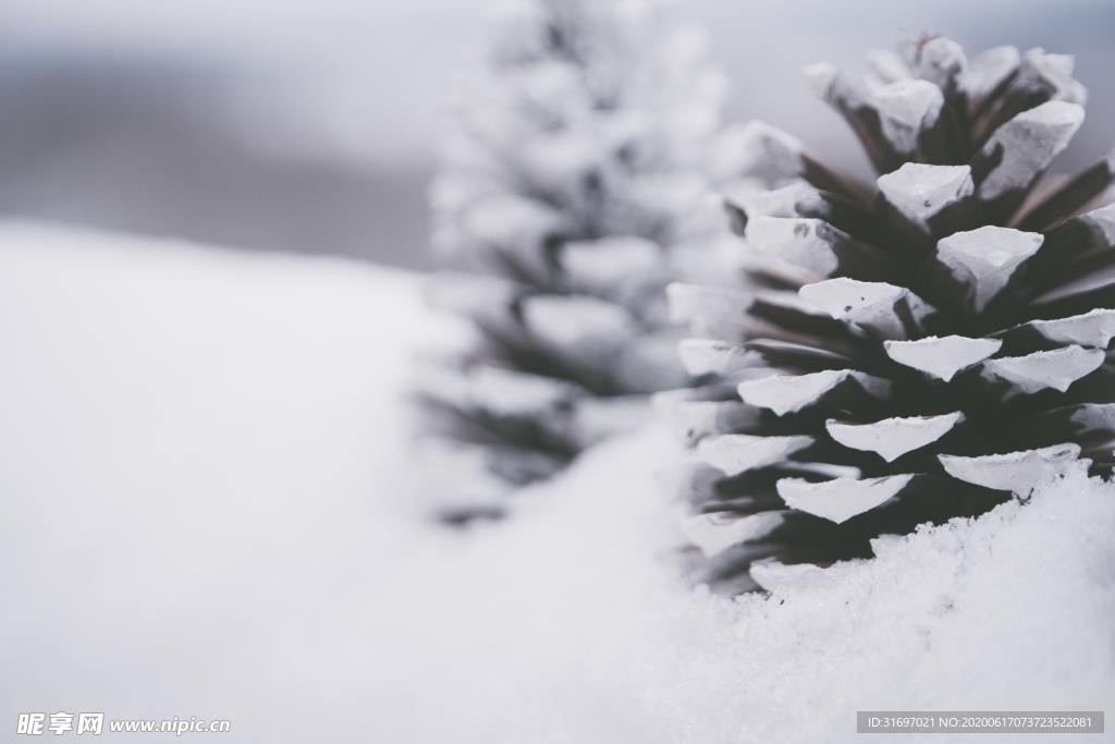 雪