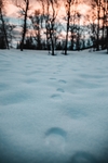 雪