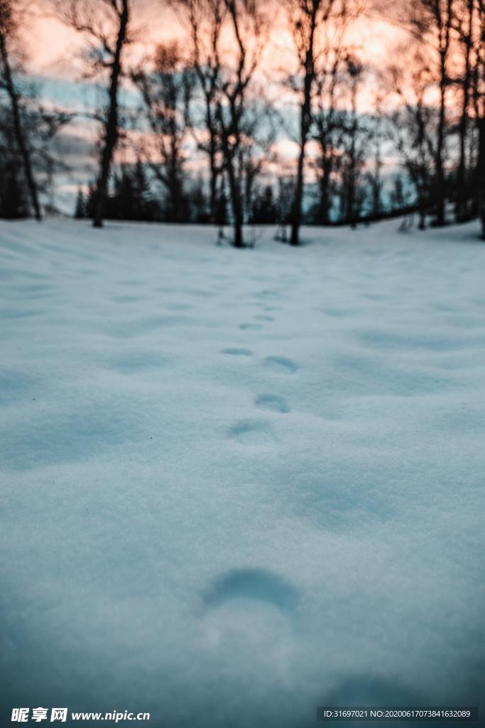 雪