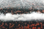 雪