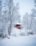 雪