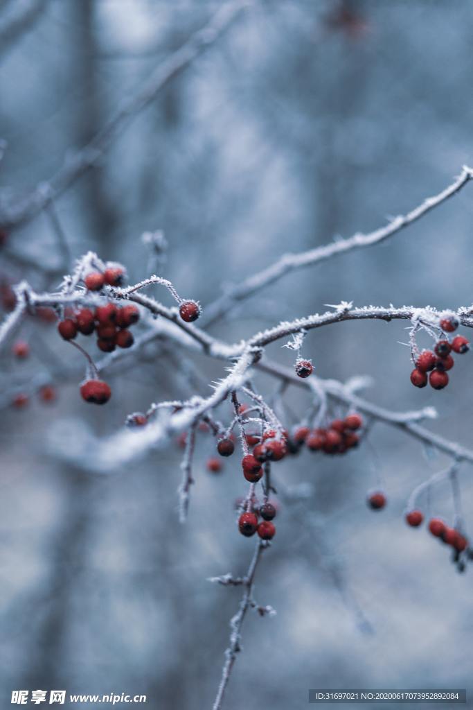 雪