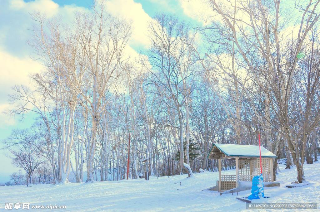 雪