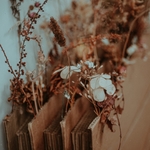 草地