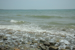 大海
