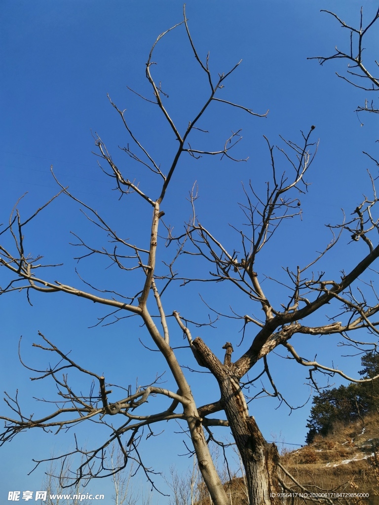 自然风景