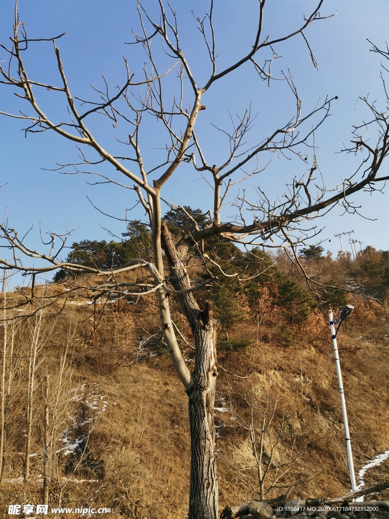自然风景