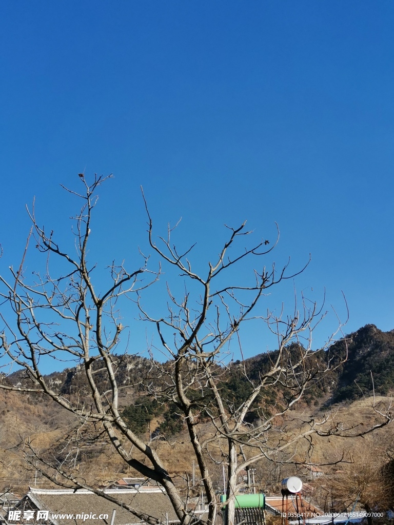 自然风景