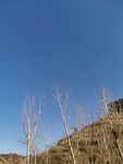 自然风景