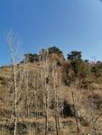 自然风景