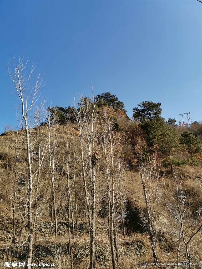 自然风景