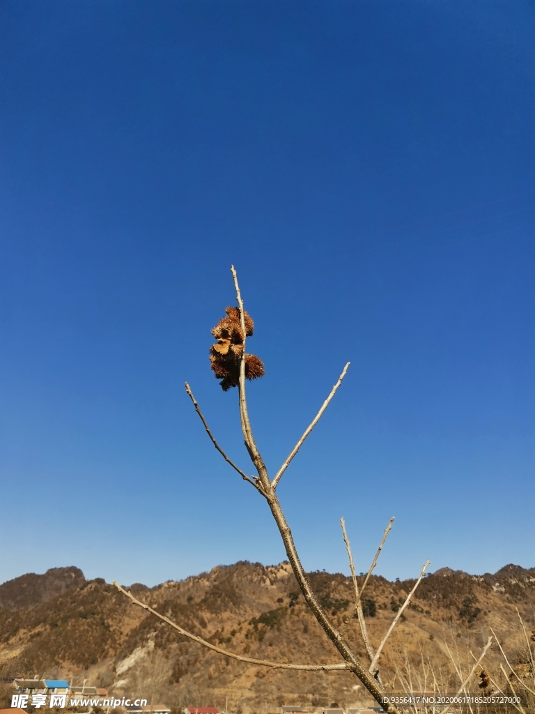 自然风景