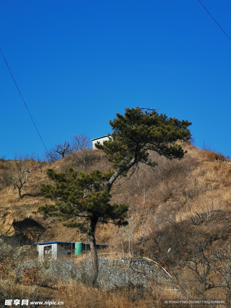 自然风景