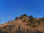 自然风景