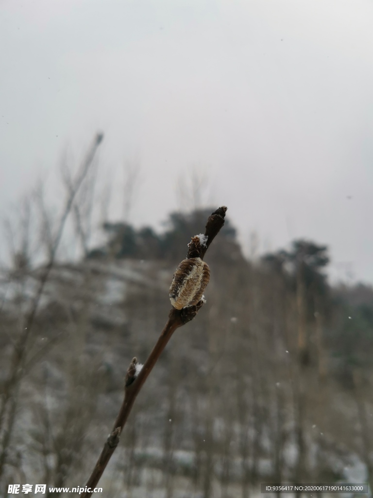 雪后风景