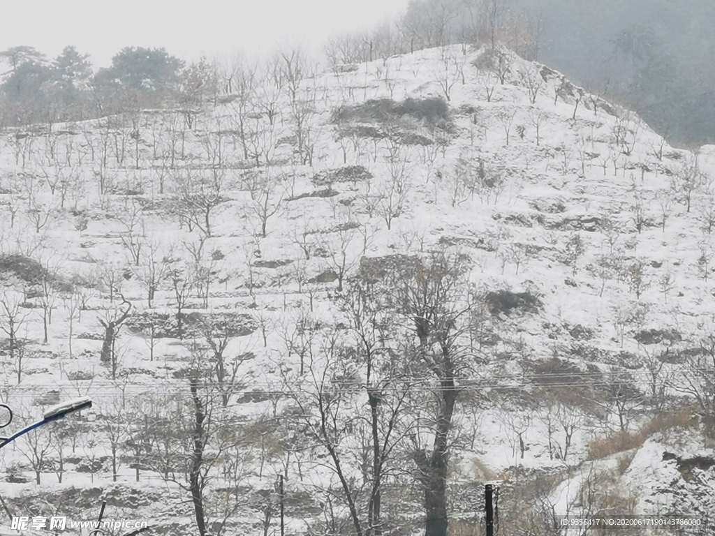 雪后风景