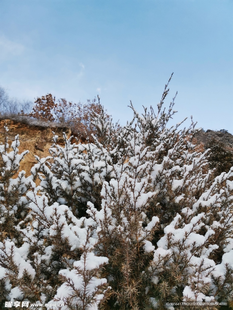 雪后风景