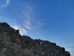 雪后风景