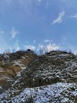 雪后风景