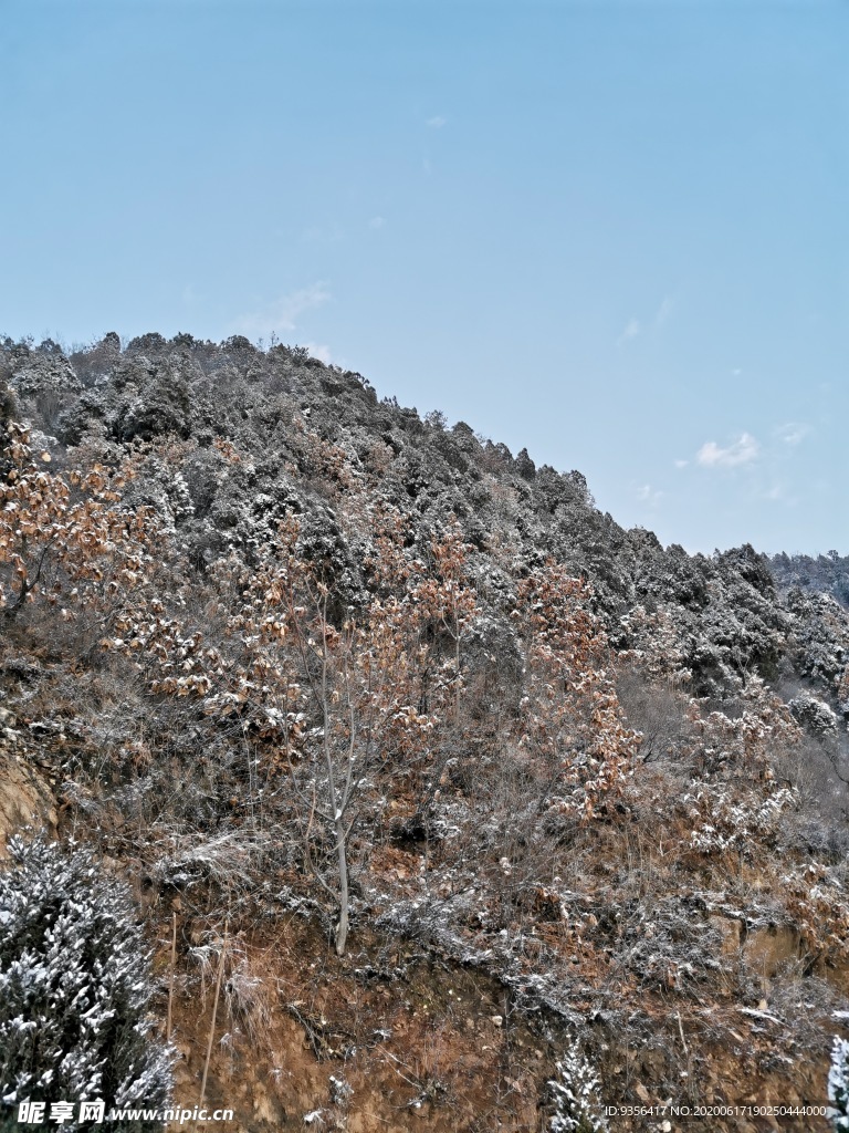 雪后风景