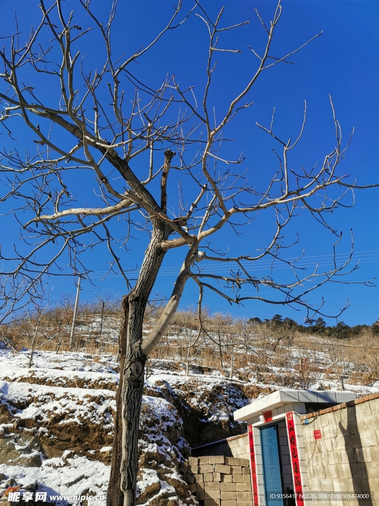 雪后风景