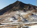 雪后风景