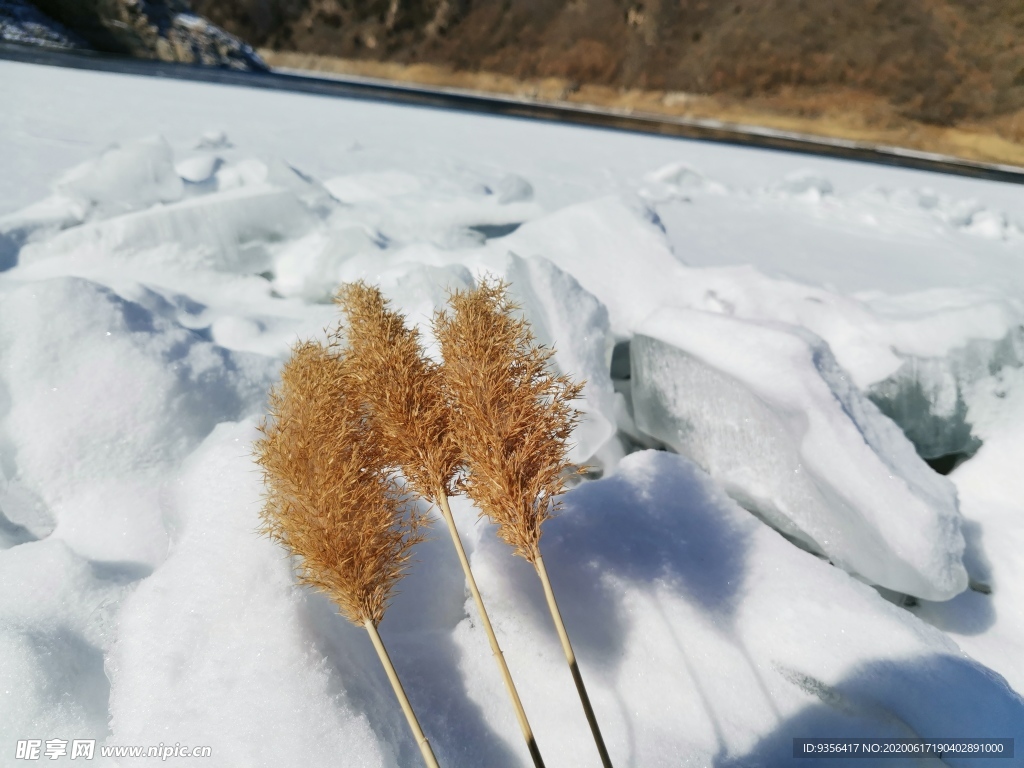 雪后风景