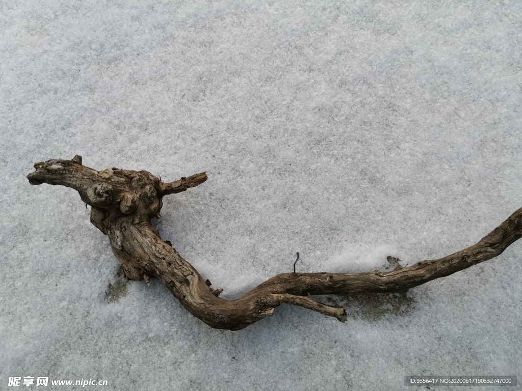 雪后风景