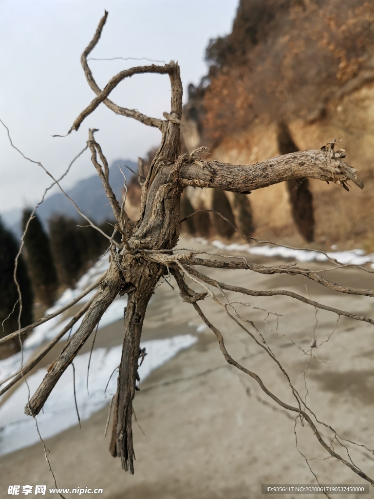 雪后风景