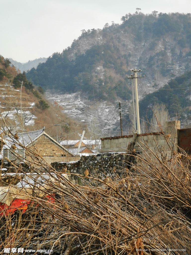 雪后风景