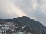 雪后的森林
