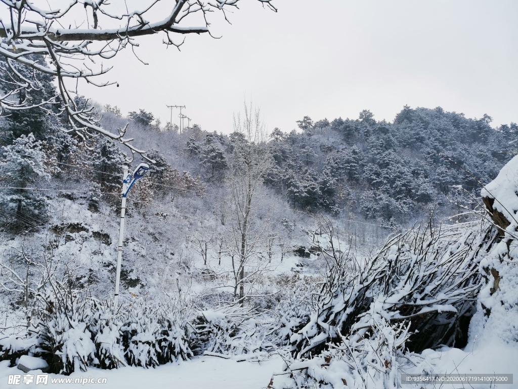 雪景