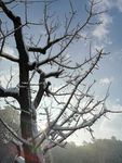 雪后阳光