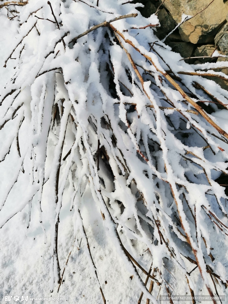 雪景