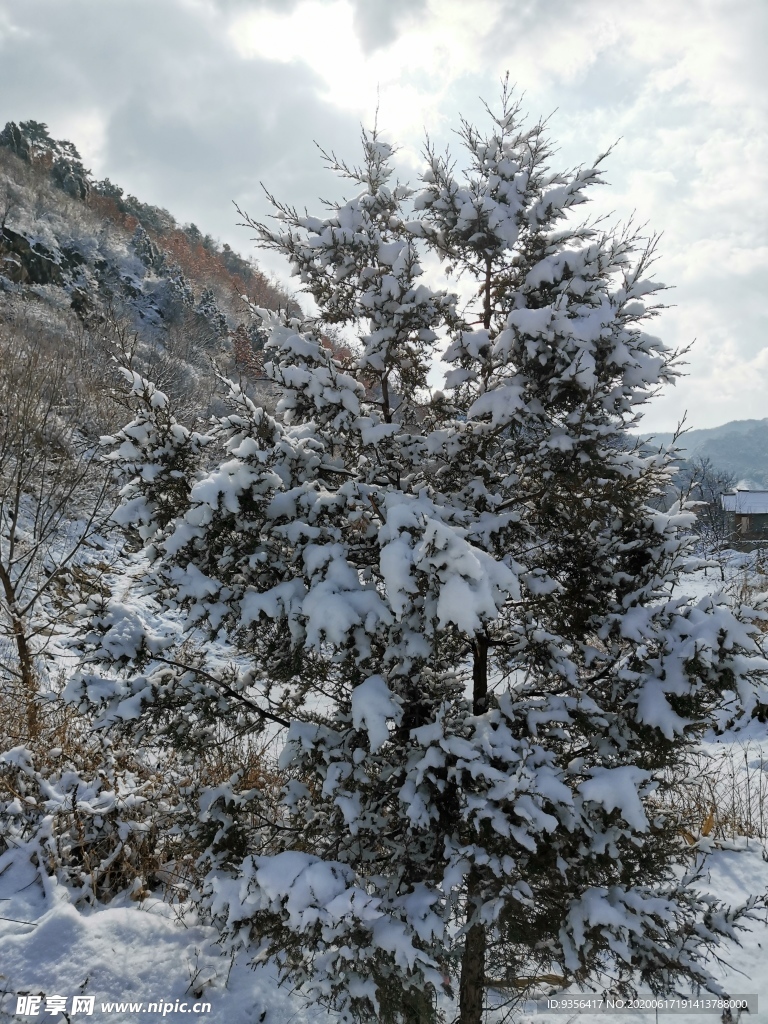 雪景