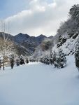 雪景