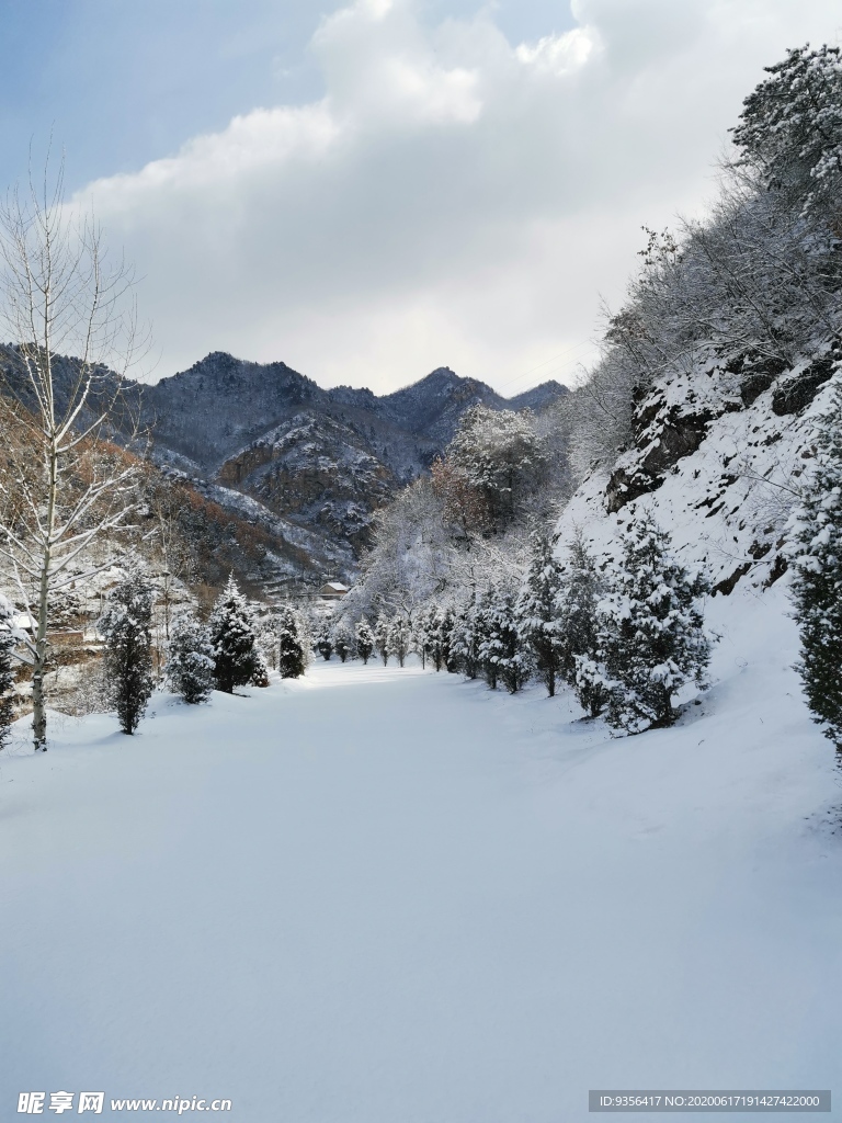 雪景