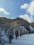 雪景