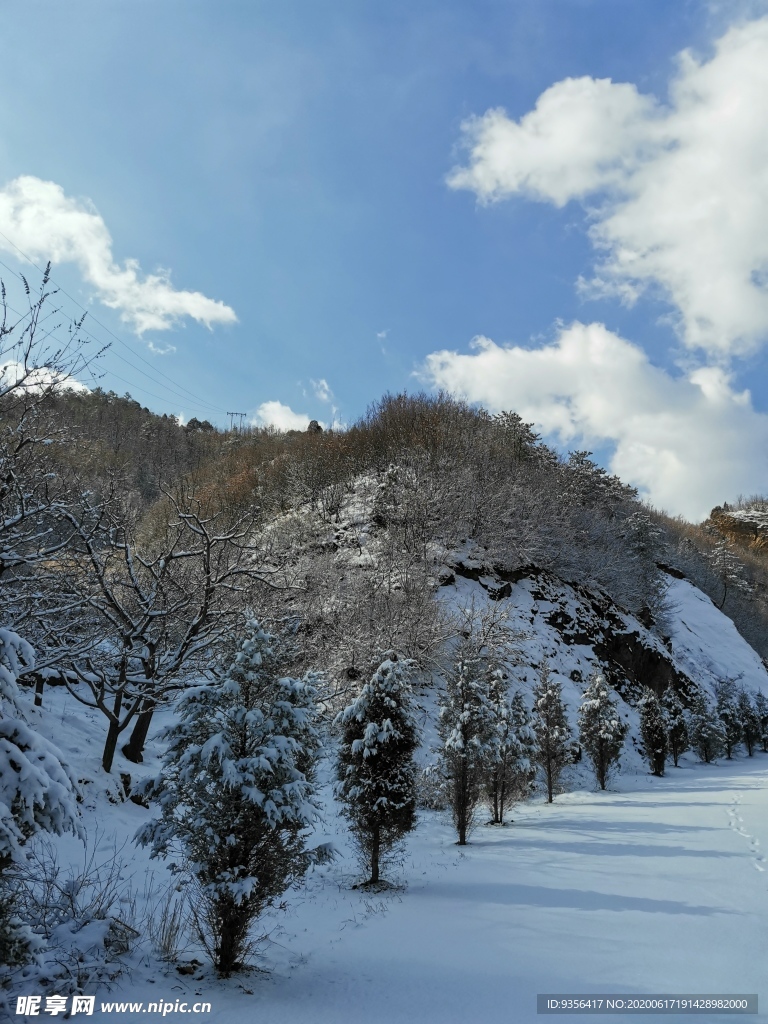 雪景