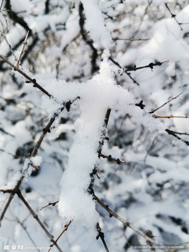 雪景