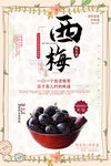 西梅