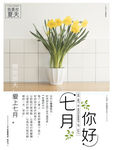 七月你好