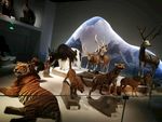 动物展览