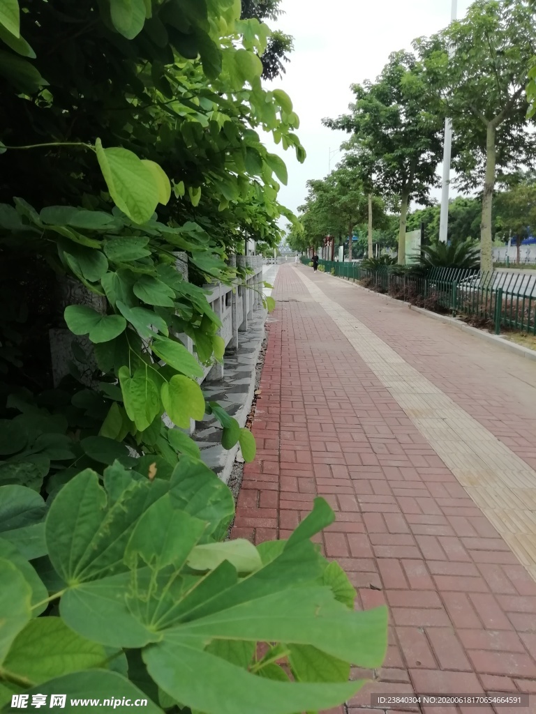 江滨小路