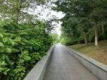 江滨小路