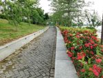 小路与花