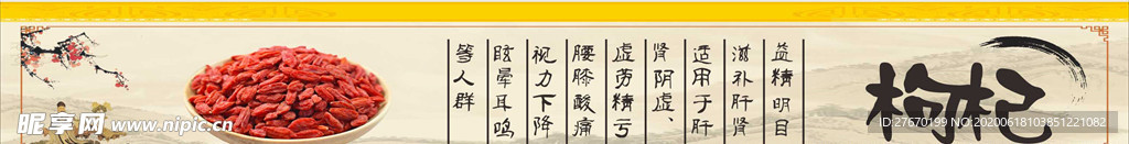 枸杞 中药介绍