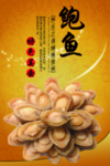 鲍鱼