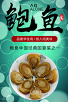 鲍鱼